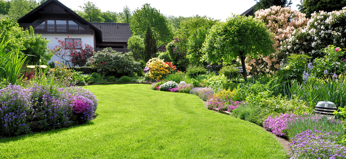 Landscaping Blog