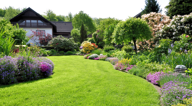 Landscaping Blog